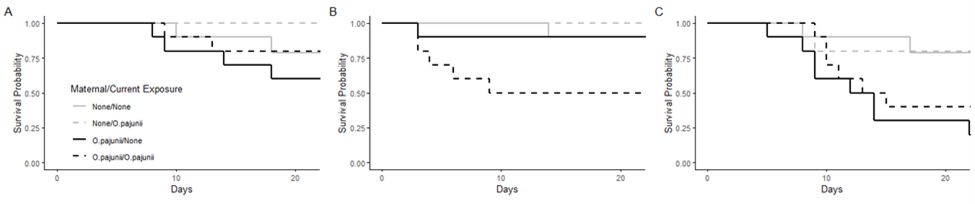 Three charts demonstrating decreased early life survival in animals whose mother was exposed to the pathogen in 3 host genotypes